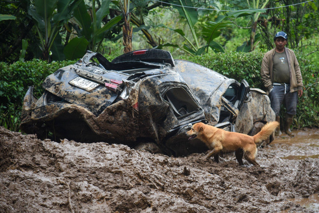 Seekor anjing berjalan di dekat sebuah mobil yang hancur akibat tanah longsor di Desa Semangat Gunung, Karo, Sumatera Utara, Minggu (24/11/2024). Foto: Fransisco Carolio/ANTARA FOTO