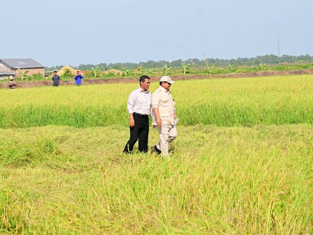 Presiden Prabowo Subianto meninjau Food Estate Marauke didampingi Mentan Andi Amran Sulaiman