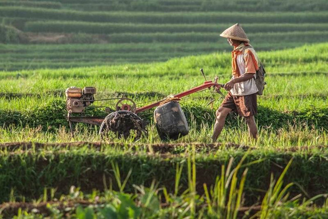 Berapa Ketinggian Gunungpati Semarang. Foto hanya ilustrasi, bukan tempat yang sebenarnya. Sumber: Unsplash/Jantri Simbolon