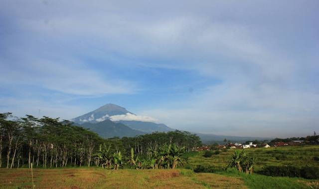 Mangli Sky View Magelang, foto hanya ilustrasi, bukan tempat sebenarnya: Unsplash/Ryóka