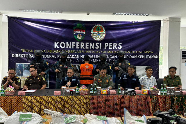 Konferensi pers tindak pidana penjualan sisik trenggiling oleh KLHK Wilayah Sumut. Foto: Dok. Istimewa