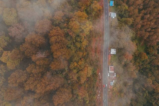 Tirto Gumarang Park. Foto hanyalah ilustrasi, bukan tempat yang sebenarnya. Sumber: Unsplash/Ryan Chondro