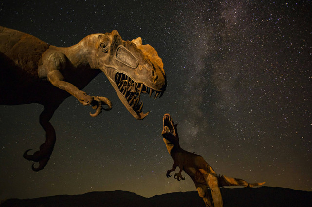 Ilustrasi Asal-usul dinosaurus, foto: unsplash/Leo_Visions