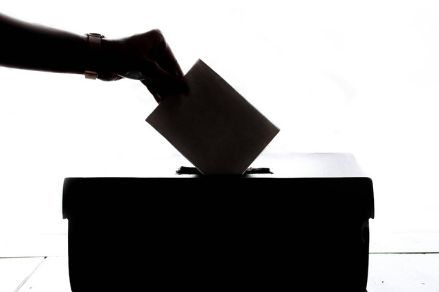 Ilustrasi perbedaan quick count, real count, dan exit poll. Foto: Pexels.com