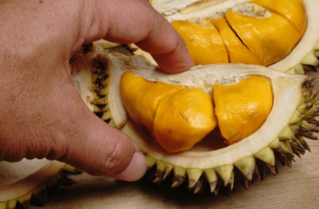 Ilustrasi Buah Lai Kembaran Buah Durian yang Gak Kalah Bagus untuk Kesehatan. Sumber Foto: Shutterstock