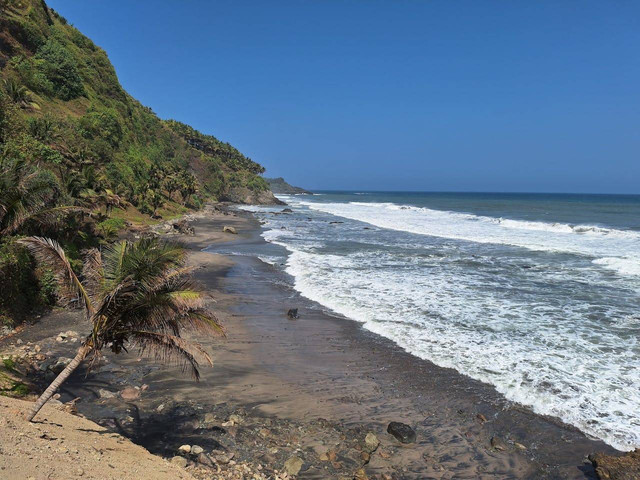 Pantai Kemiren. Foto hanya ilustrasi, bukan tempat sebenarnya. Sumber: Pexels/Miftahul Afif