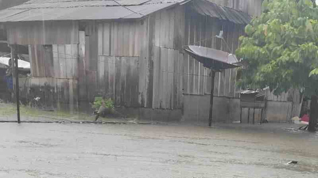 Rumah warga terendam banjir di Desa Towiora, Kecamatan Rio Pakava, Kabupaten Donggala, Sulteng, Sabtu (30/11/2024). Foto: ANTARA/HO-BPBD Sulteng