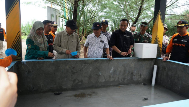 Sejumlah tokoh Pacitan dan DMC Dompet Dhuafa mendorong keberlanjutan ekosistem di wilayah Pacitan dengan mendirikan saung konservasi Penyu sebagai langkah yang tepat dalam menjaga ekosistem. 