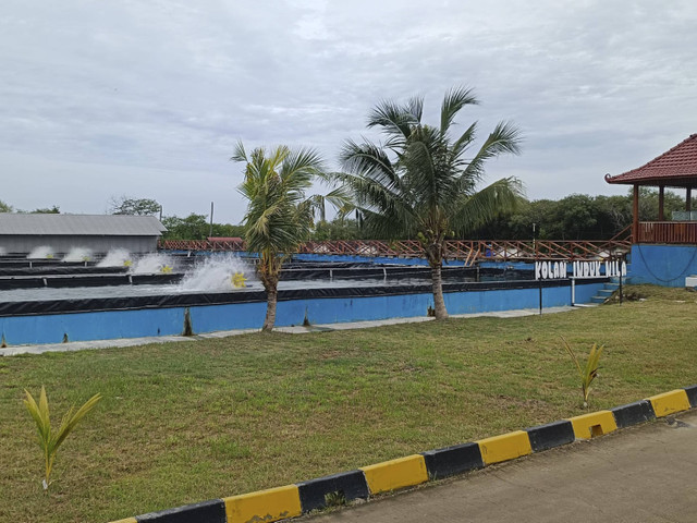 Suasana modeling kawasan tambak budi daya ikan nila salin (BINS) milik Kementerian Kelautan dan Perikanan (KKP) di Karawang, Jawa Barat, Senin (2/12/2024). Foto: Zamachsyari/kumparan