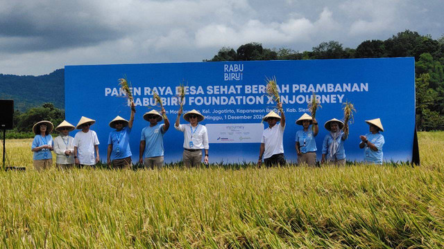 Panen raya Desa Sehat Berbah Prambanan, Sleman, DIY. Foto: Sandra