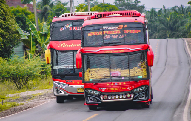 bus damri semarang lampung. Foto hanyalah ilustrasi, bukan bus yang sebenarnya. Sumber: Unsplash/Jalal Kelink