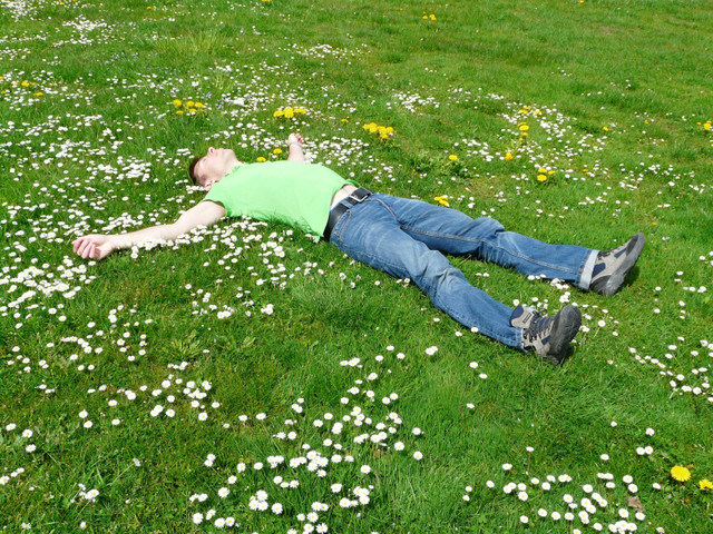 Photo by Pixabay: https://www.pexels.com/photo/high-angle-view-of-lying-down-on-grass-258330/