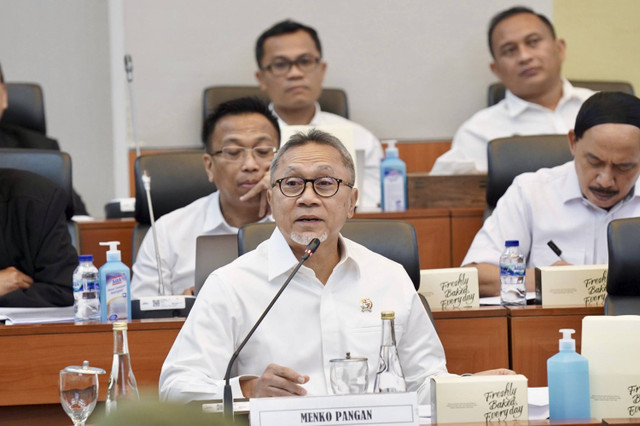 Menko Pangan Zulhas saat rapat dengan Banggar DPR. Foto: Dok. Kemenko Pangan