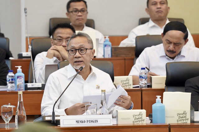 Menko Pangan Zulhas saat rapat dengan Banggar DPR. Foto: Dok. Kemenko Pangan