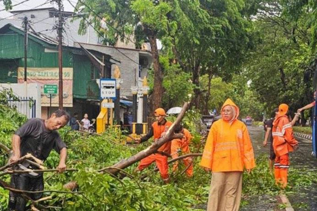 Sejumlah pohon di wilayah Letjen Suprapto, Kelurahan Harapan Mulia, Jakarta Pusat tumbang akibat hujan deras disertai angin kencang, Senin (2/12/2024).
 Foto: BPBD DKI Jakarta/HO/Antara