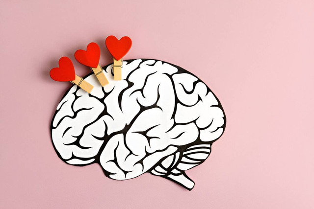 Hati merah di dalam otak manusia adalah simbol cinta, kesehatan, dan pencegahan stroke. (Picture from iStock)