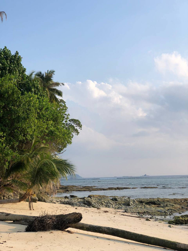 gambar pantai pulau mentawai, foto diambil oleh penulis (https://drive.google.com/file/d/1Lu-a2dJTooDpLfGQ7hAGT5z8IfilZyOg/view?usp=drivesdk)