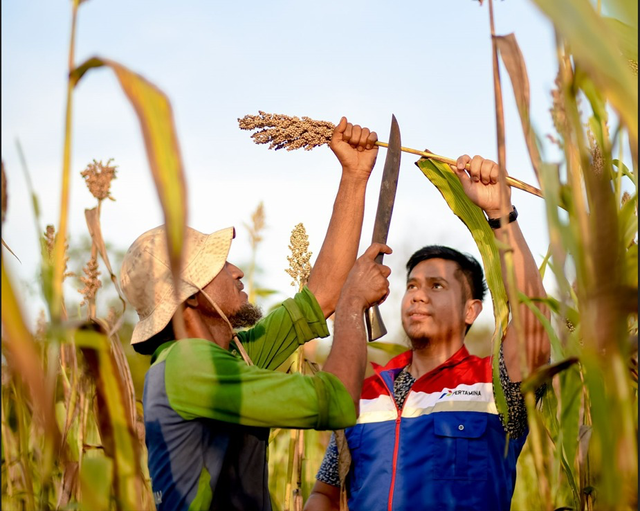 Kilang Pertamina Internasional dalam menjalankan program untuk menjaga kelestarian lingkungan. Foto: Dok. Pertamina