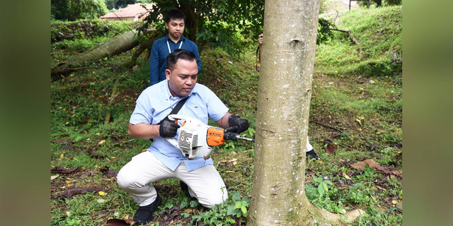 IPB University dan WRI Indonesia Gelar Training Forensik Kayu