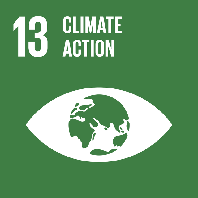 SDG 13; Climate Action, created by author Lim Jia Hui, 2024.