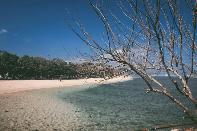 Pantai Lon Malang. Foto Hanya Ilustrasi, Bukan Tempat Sebenarnya.. Sumber Unsplash Pradamas Gifarry