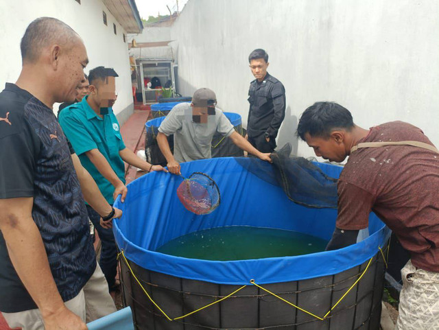 Dukung Program Ketahanan Pangan Nasional, Lapas Pagar Alam Tebar 2.500 Benih Ikan Lele