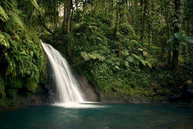 Coban Lanang Malang. Foto hanya ilustrasi bukan tempat sebenarnya. Sumber: Pexels/Greg Galas