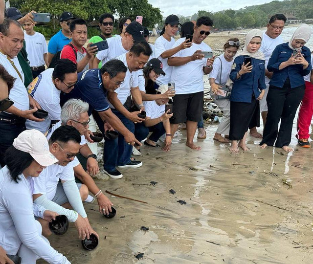 Pelepasan tukik di Pantai Jimbaran setelah selesainya Rakernas Peradi di Bali - IST