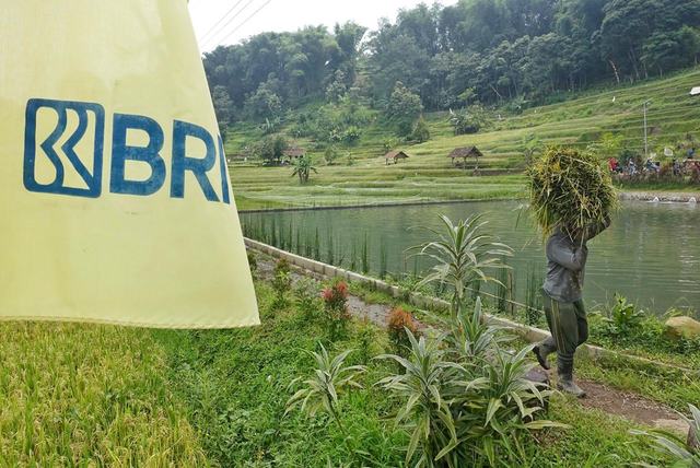 BRI mengimplementasikan Asta Cita dalam mendukung pemberdayaan UMKM di seluruh Indonesia untuk mendorong pertumbuhan ekonomi nasional dengan mencatat penyaluran KUR Rp 175,66 triliun kepada 3,7 juta debitur UMKM hingga akhir November 2024. Foto: Dok. BRI