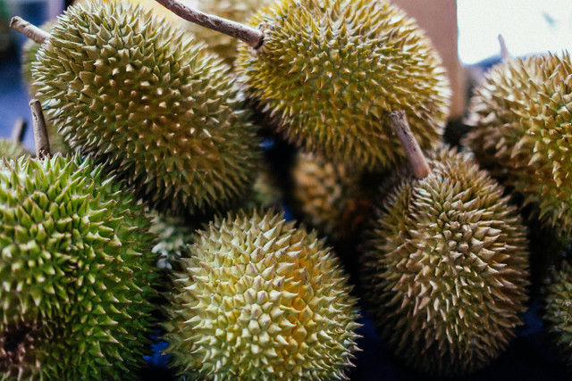 Ilustrasi ciri pohon durian montong. Pexels/vitalina