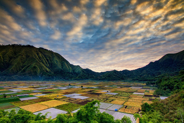 Desa Wisata Sidorejo Indah. Foto hanya ilustrasi, bukan tempat sebenarnya. Sumber: Unsplash/koes nadi