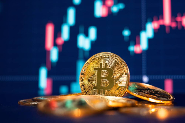 Ilustrasi investasi Bitcoin. Foto: Shutterstock