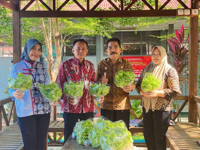 Panen Selada Hidroponik pada Lapas Polewali Wujudkan Ketahanan Pangan Mandiri