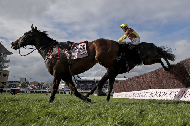 Paul Townend mengendarai Galopin Des Champs beraksi bersama Fastorslow selama 15:30 Boodles Cheltenham Gold Cup Chase pada Pacuan Kuda saat Festival Cheltenham di Arena Balap Cheltenham, Cheltenham, Inggris (15/3/2024). Foto: Paul Childs/REUTERS