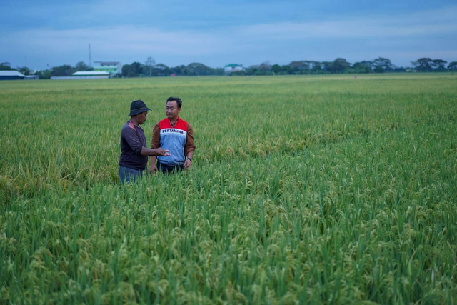 Pertamina dukung transisi dan swasembada energi bersih untuk bidang pertanian lewat program Desa Energi Berdikari (DEB). Foto: Dok. Pertamina