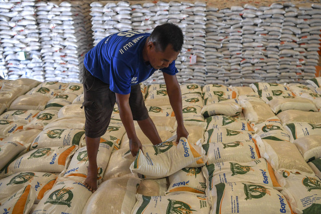 Pekerja mengangkat karung berisi beras yang akan didistribusikan di Gudang Bulog Karang Asam Ulu II, Samarinda, Kalimantan Timur, Rabu (11/12/2024). Foto: M Risyal Hidayat/ANTARA FOTO