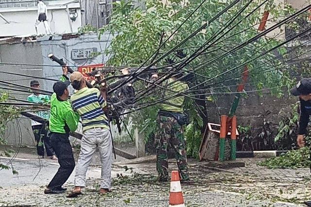 Pembersihan pohon tumbang di Jalan Jati Murni, Pasar Minggu, Jakarta Selatan, Rabu (11/12/2024). Foto: kumparan