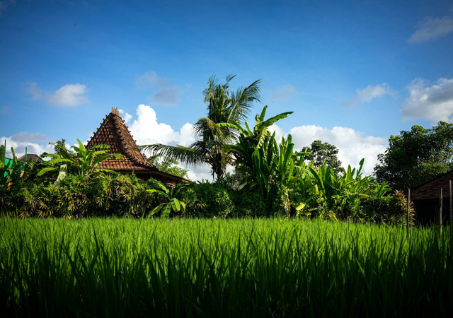 Kampung Kemasan. Foto hanya ilustrasi, bukan tempat sebenarnya. Foto: dok. Unsplash/Niklas Weiss