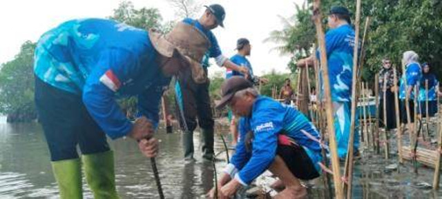 Rangkaian kegiatan penanaman mangrove di Desa Ujung Labuang dan desa Wiringtasi Kecamatan Suppa kabupaten Pinrang bersama kordinator Penyuluh Perikanan kabupaten Pinrang. (Foto:atjo/Kumparan.com)