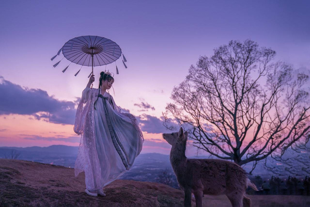 Ilustrasi pemain drama China Blossom. Foto: pixabay/Tunglam89