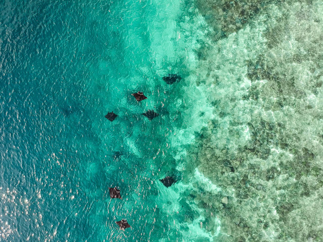 Itinerary Labuan Bajo 4 hari 3 malam. Foto Manta Point, Labuan Bajo. Sumber: Unsplash/Aruka Death