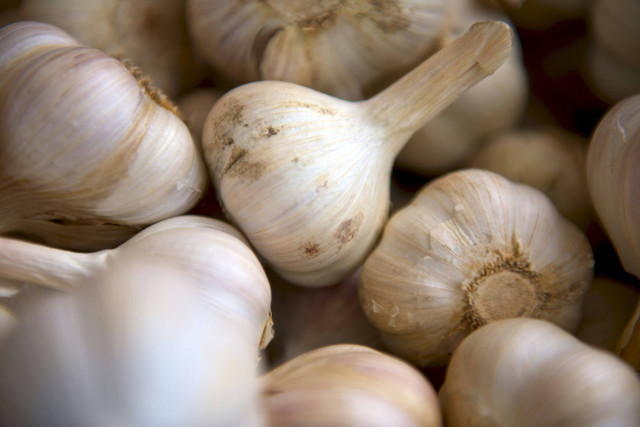 Ilustrasi Cara Membuat Laba Garlic, foto: unsplash/Matthew Pilachowski