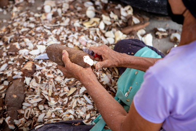 cara fermentasi ubi kayumarquino rocha