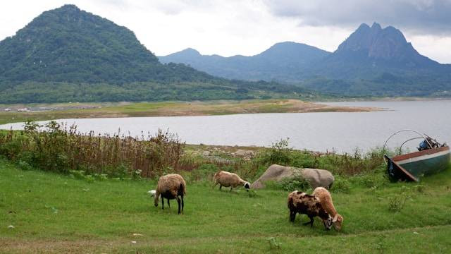 Waduk Gajah Mungkur. Foto Hanya Ilustrasi, Bukan Sebenarnya. Sumber Foto: Unsplash.com/Inna Safa