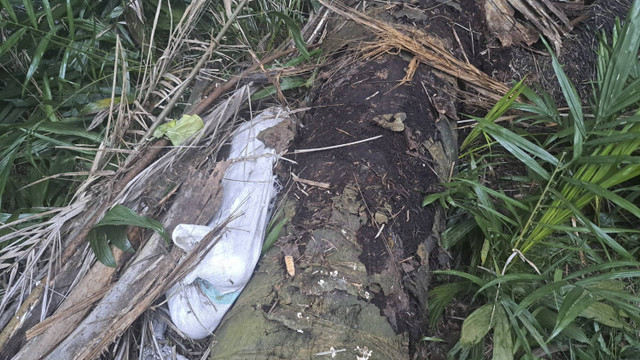 Penemuan mayat dalam karung goni di Pantai Cermin, Kabupaten Sergai. Foto: Dok. Istimewa