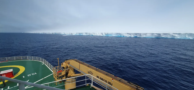 A23a, gunung es terbesar dan tertua di dunia tengah bergerak melintasi Samudra Selatan Antartika. Foto: British Antarctic Survey (BAS)