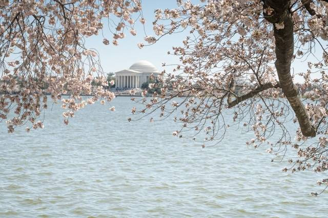 Itinerary Jepang 10 Hari. Foto Hanya Ilustrasi. Sumber Foto: Unsplash.com/Srini Somanchi