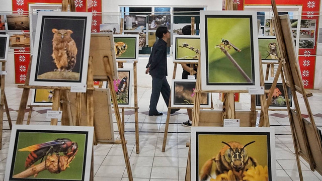 Event Musi Fotografis Festival 2024 menjadi salah satu pesta para fotografer dari berbagai genre di Palembang, Sumatera Selatan, Minggu (15/12) Foto: abp/urban id