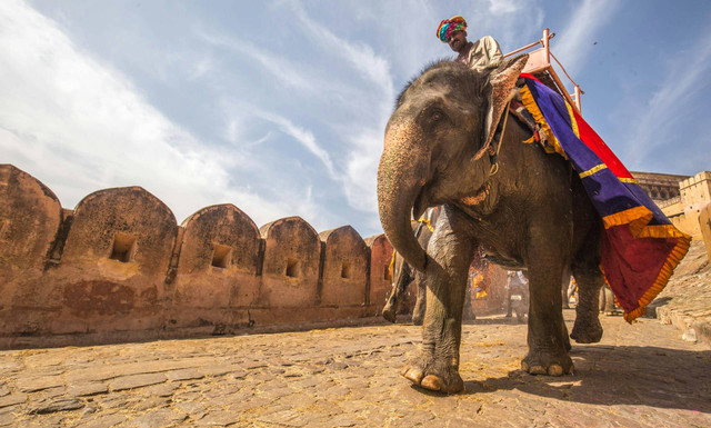 Biaya liburan ke India. Foto suasana di Jaipur, India. Sumber: Unsplash/C Rayban