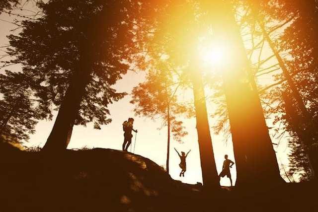 tempat trekking di Bandung. Foto hanyalah ilustrasi bukan tempat sebenarnya. Sumber: Unsplash/photo nic